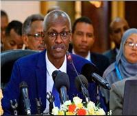 وزير الري السوداني: نعترف بحق الدول في اللجوء لمجلس الأمن.. ونتوقع عودة المفاوضات|فيديو  