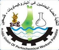 نقابة البتروكيماويات في فلسطين: ندعم شعب مصر في الدفاع عن أمنه القومي