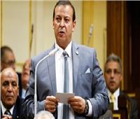 برلمانى : تحذيرات مصر أمام مجلس الأمن بشأن سد النهضة حاسمة وواضحة‎