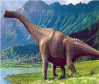 دراسة حديثة تحل لغز انقراض الديناصورات