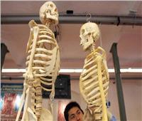 «دراسة حديثة» تستخدم عظام الإنسان في محاربة الشيخوخة