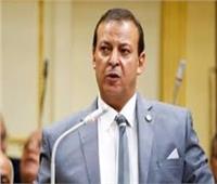برلماني: قبائل ليبيا فضحوا أهداف أردوغان الشيطانية لغزو بلادهم ‎