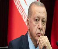 وزيرة نمساوية: "أردوغان" يوظف الدين لمصالح سياسية