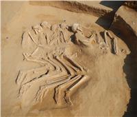 الإمارات.. العثور على 5 هياكل عظمية تعود إلى الألف السادس قبل الميلاد