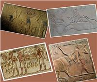صور| باحث أثري: المصريين القدماء عرفوا الأضحية والفتة