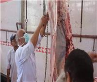 صور.. الزراعة: ذبح 3500 أضحية مجانا في ثالث أيام عيد الأضحى 