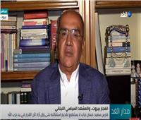 فيديو| فارس سعيد: طالبنا بلجنة دولية للتحقيق في انفجار مرفأ بيروت  