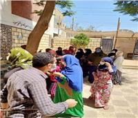 بالصور..المرأة وكبار السن يتصدرون المشهد أمام اللجان الانتخابية في المنيا