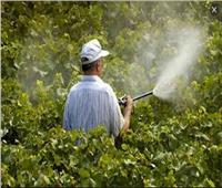 الزراعة تشدد الرقابة على المبيدات وتضبط 460 ألف عبوة غير مسموح بتدوالها