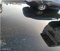 بالصور| تسرب حمولة سيارة مواد بترولية على الطريق الدائري 