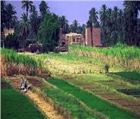 الريف المصري: سحب 250 فدانًا من شركة مخالفة ضمن مشروع الـ1.5 مليون فدان بالفرافرة