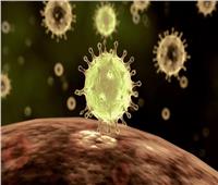 فيروس كورونا يظهر للمرة الثالثة في إحدى الدول 