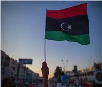 الأحزاب السياسية تشيد بالدور المصري لحقن دماء الشعب الليبي
