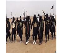 الأمم المتحدة: أكثر من 10 آلاف "داعشي" يتحركون بحرية بين العراق وسوريا