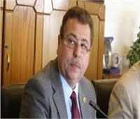 بدراوي: البرلمان أقر عددًا من الاتفاقيات والقوانين الاقتصادية المهمة