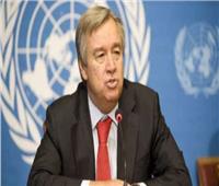 الأمم المتحدة تبدي استعدادها لدعم جهود إحلال السلام في منطقة شرق أوكرانيا