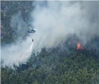 إسبانيا: إخلاء نحو 2400 شخص إثر اندلاع حرائق بالغابات جنوبي البلاد