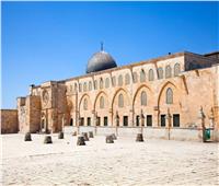 كهوف القدس تشهد اكتشاف أثري جديد | فيديو