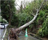 اليابان: 180 ألف منزل بلا كهرباء بسبب إعصار «هايشن»