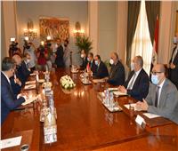 وزير الخارجية سامح شكري يلتقي بوزير خارجية مالطا في القاهرة