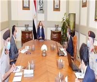 الرئيس السيسي يوجه بالبدء في إطلاق جامعة مصر المعلوماتية