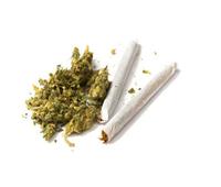 سقوط مروج «مخدر الماريجوانا» بالتجمع
