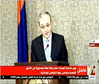 فيديو| وزير خارجية أرمينيا: مصر دولة هامة ومحورية في الشرق الأوسط