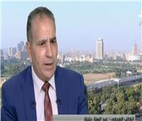 عبد الستار حتيتة: مصر «حجّمت» التغول التركي في ليبيا