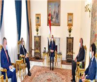 صناعة الدواء على رأس مباحثات الرئيس السيسي مع وزير خارجية أرمينيا