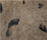 السعودية تعلن اكتشاف آثار أقدام لبشر وحيوانات تعود لأكثر من 120 ألف سنة