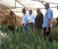 الزراعة: وفد «أكساد» يزور مركز التنمية المستدامة بمطروح 