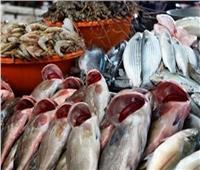 ننشر أسعار الأسماك في سوق العبور اليوم 28 سبتمبر