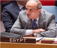 عبد الخالق: رئاسة مجلس السلم الإفريقي محطة جديدة للريادة المصرية