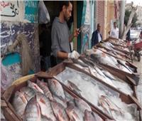 ثبات أسعار الأسماك في سوق العبور اليوم 5 أكتوبر