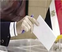 انتخابات «النواب» في أسيوط.. منافسة شرسة بين المستقلين والأحزاب