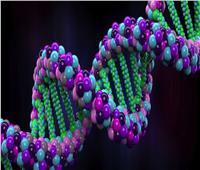 بعد فوز عالمتين بـ«نوبل» للكيمياء|«المقص الجيني» ثورة في علم الجينوم  