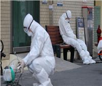 فيروس قديم يهدد كوريا الجنوبية.. إجراءات وقائية للسيطرة عليه 