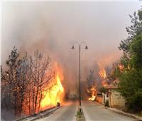 بالفيديو| حرائق كبيرة في غابات لبنان