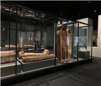 مشاركة سفير مصر لدى هلسنكي بافتتاح معرض الآثار الفرعونية بفنلندا