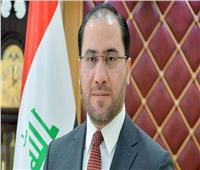 وزير الخارجية العراقي يسلم الرئيس السيسي رسالة من «الكاظمي»