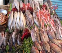 استقرار أسعار الأسماك في سوق العبور اليوم 13 أكتوبر