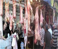 ثبات أسعار اللحوم بالأسواق المحلية اليوم 18 أكتوبر