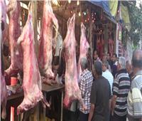 ثبات أسعار اللحوم بالأسواق المحلية اليوم 19 أكتوبر