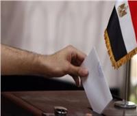 فيديو| اتحاد المصريين بالخارج يكشف آخر موعد لاستقبال خطابات التصويت