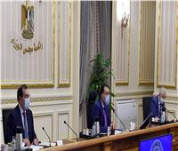 رئيس الوزراء يستعرض أوجه التعاون الثلاثى بين مصر والأردن والعراق