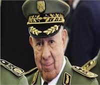 رئيس الأركان الجزائري: الشعب سيشارك بقوة في الاستفتاء على التعديلات الدستورية