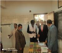 المنظمات الدولية تتابع سير العملية الانتخابية في بني سويف