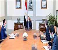 الرئيس السيسي يوجه بالبدء الفوري في تنفيذ مبادرة «مصر الرقمية»