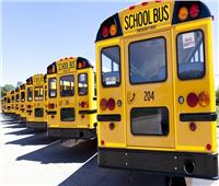 مصادر بـ«التعليم»: تعلن موعد كشف المخدرات على سائقي الحافلات المدرسية 