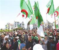 الجزائريون يحتفلون بذكرى ثورة الأول من نوفمبر بالتزامن مع الاستفتاء